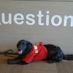 My Library Is... Finals Week Activities in the Library: Helping Our Students De-Stress