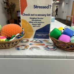 Sensory kits in the library