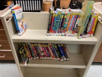 My Library Is...Loving Graphic Novels 