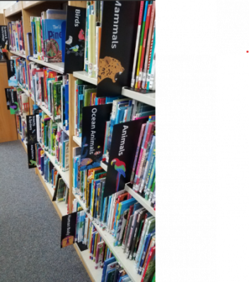 My Library Is . . . A Place to Cultivate Lifelong Readers 