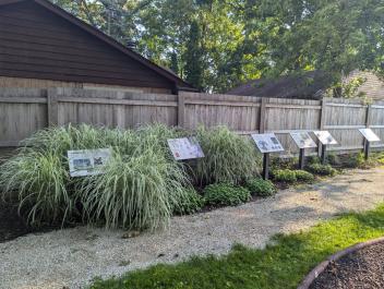 IMLS Stories: Encouraging Active Outdoor Play and Recreation